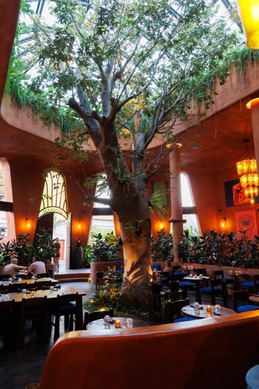 The garden dining room in the evening
